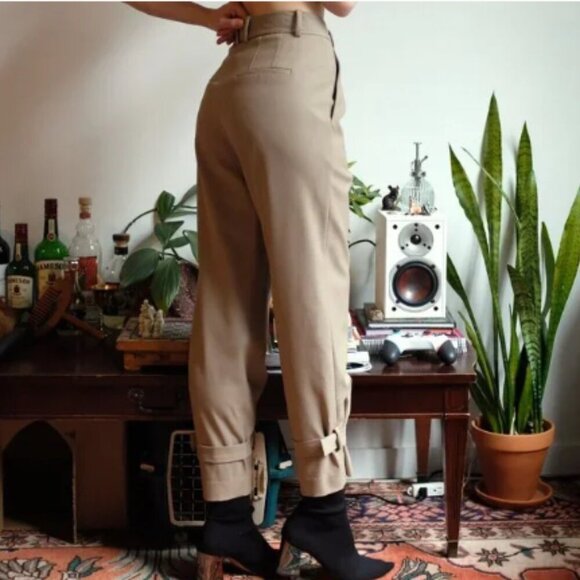 Babaton Pants - Aritzia Babaton Wool Lalonde Pants in Taupe size 4